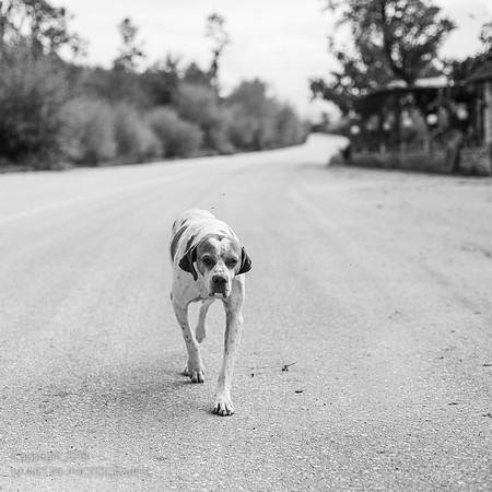 Martin_Schmid-2902