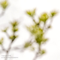 Martin_Schmid-5608