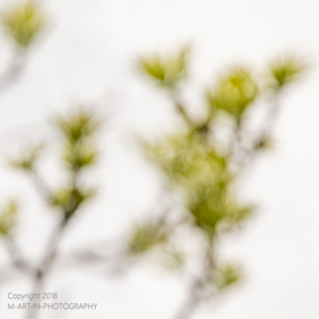 Martin_Schmid-5608