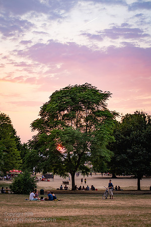 _MG_9974