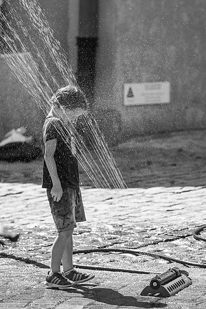 _MG_7433